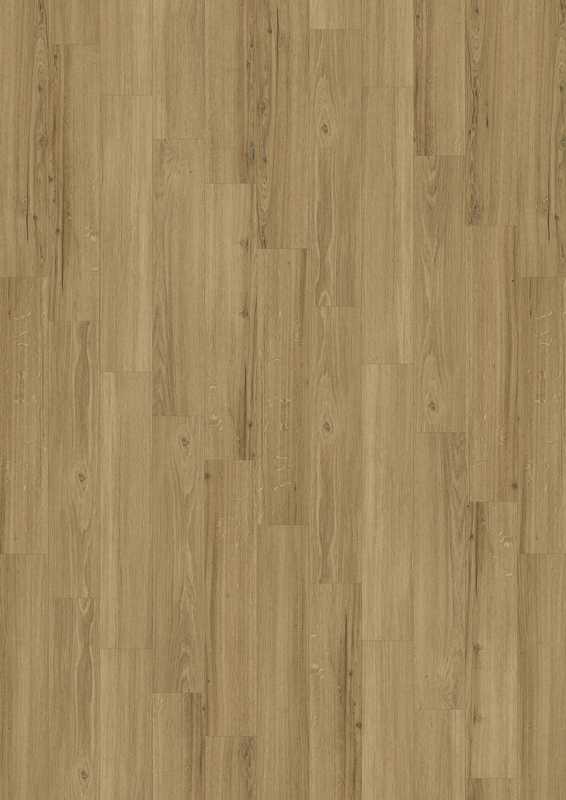 Vinylová podlaha D555 Cycle Incredible Classic Oak, 5381