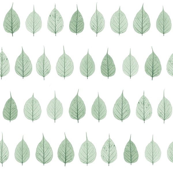 Tapeta Estahome Greenhouse, 128847