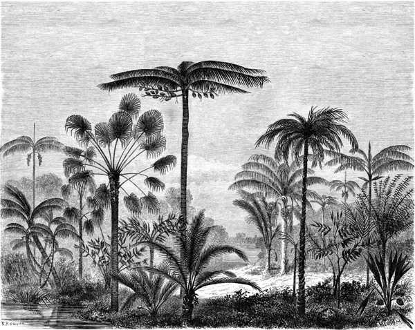 Tapeta Estahome Paradise, 158952
