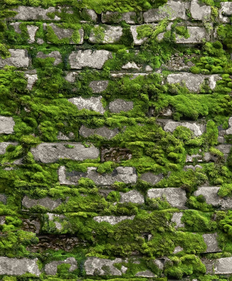 Tapeta Marburg Struktura, 45731