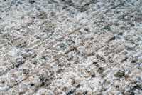 meghanlalee-bea234crea