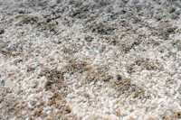 meghanlalee-bea234crea