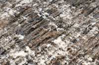 meghanlalee-bea237taup