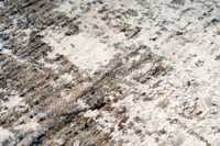 meghanlalee-bea237taup