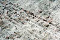 meghanlalee-bea238peac