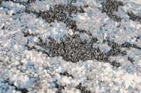 meghanlalee-boa460blue