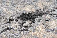 meghanlalee-boa460grey