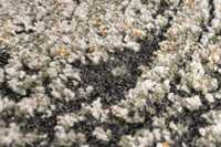 meghanlalee-boa462gree