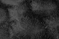 meghanlalee-dmc800anth