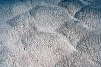 meghanlalee-dmc800crea