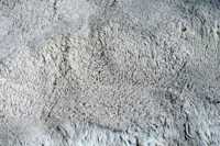 meghanlalee-dmc800grey