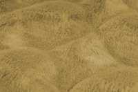 meghanlalee-dmc800hone