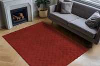 meghanlalee-dmc800redd
