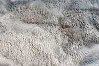 meghanlalee-dmc800taup