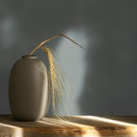 struktura-82350