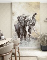 travertino-33099