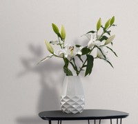 travertino-33364